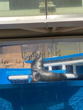 サンシャイン水族館に投稿された画像（2020/12/31）