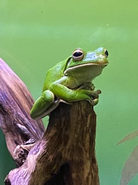 サンシャイン水族館に投稿された画像（2020/12/31）