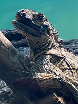 サンシャイン水族館に投稿された画像（2020/12/31）