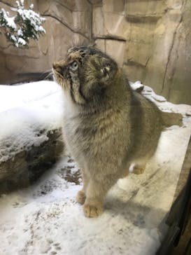 那須どうぶつ王国に投稿された画像（2020/12/31）