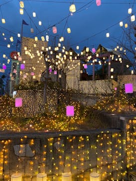 ひらかたパークに投稿された画像（2020/12/31）