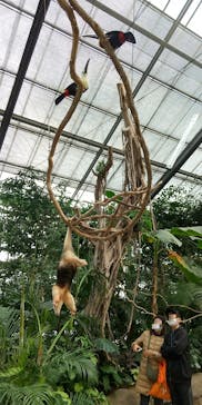 神戸どうぶつ王国に投稿された画像（2020/12/31）