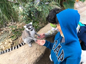 神戸どうぶつ王国に投稿された画像（2020/12/31）