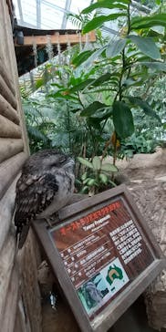 神戸どうぶつ王国に投稿された画像（2020/12/31）