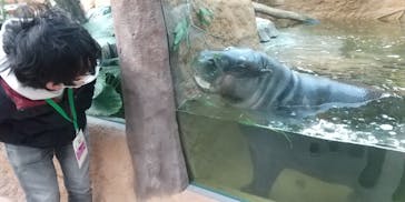 神戸どうぶつ王国に投稿された画像（2020/12/31）