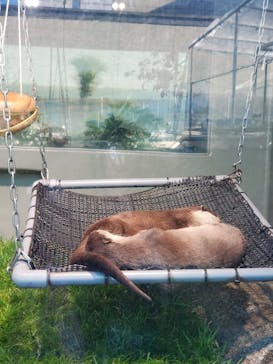 サンシャイン水族館に投稿された画像（2020/12/31）