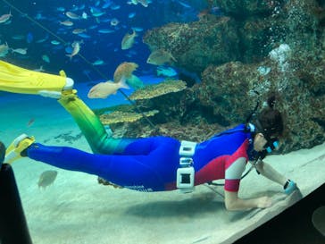 サンシャイン水族館に投稿された画像（2020/12/31）