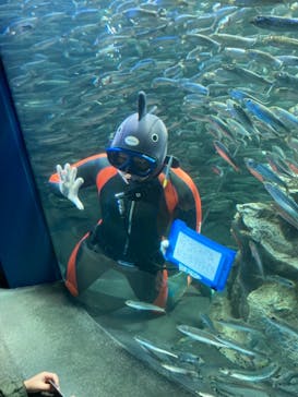 サンシャイン水族館に投稿された画像（2020/12/31）