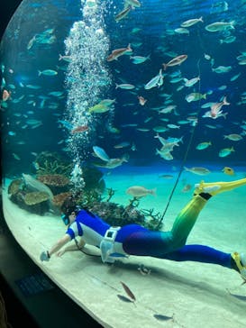サンシャイン水族館に投稿された画像（2020/12/31）