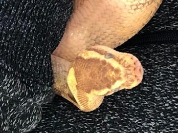 Moff animal world BIGHOPガーデンモール印西店に投稿された画像（2020/12/31）