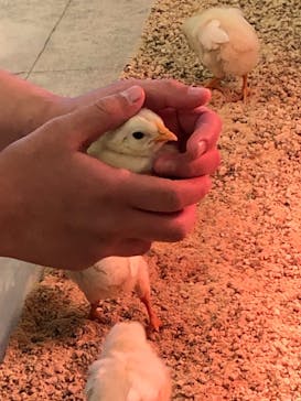 Moff animal world BIGHOPガーデンモール印西店に投稿された画像（2020/12/31）