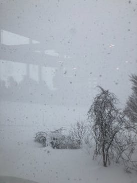 野沢温泉スキー場に投稿された画像（2020/12/31）