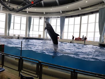 アクアワールド茨城県大洗水族館に投稿された画像（2020/12/31）