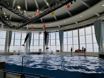 アクアワールド茨城県大洗水族館に投稿された画像（2020/12/31）