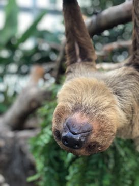 神戸どうぶつ王国に投稿された画像（2020/12/31）