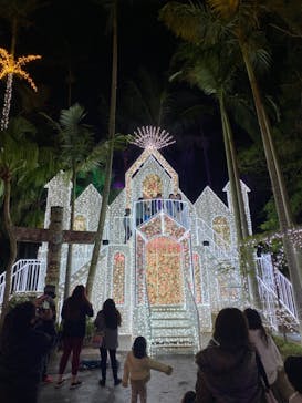 美らヤシパークオキナワ・東南植物楽園に投稿された画像（2020/12/31）