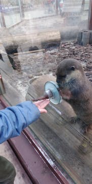 横浜・八景島シーパラダイスに投稿された画像（2020/12/31）