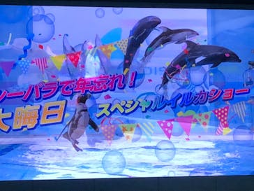 横浜・八景島シーパラダイスに投稿された画像（2020/12/31）