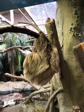 那須どうぶつ王国に投稿された画像（2020/12/31）