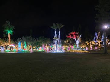 美らヤシパークオキナワ・東南植物楽園に投稿された画像（2020/12/31）