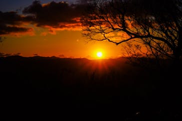 伊豆パノラマパークに投稿された画像（2020/12/31）