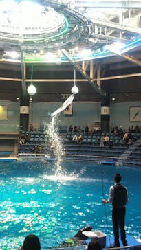 マクセル アクアパーク品川に投稿された画像（2020/12/31）