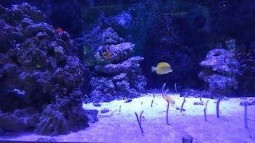 マクセル アクアパーク品川に投稿された画像（2020/12/31）