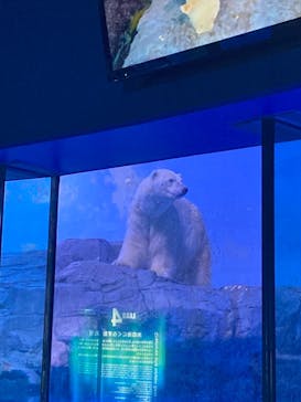 横浜・八景島シーパラダイスに投稿された画像（2020/12/31）