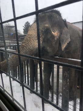 那須サファリパークに投稿された画像（2020/12/31）