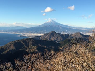 伊豆パノラマパークに投稿された画像（2021/1/1）