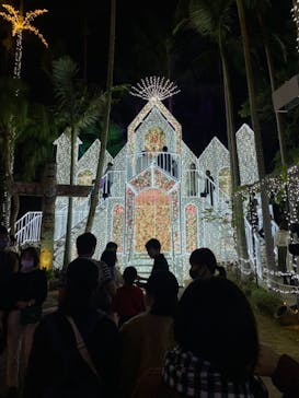 美らヤシパークオキナワ・東南植物楽園に投稿された画像（2021/1/1）