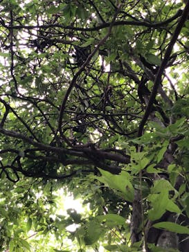 アスムイハイクスに投稿された画像（2021/1/1）