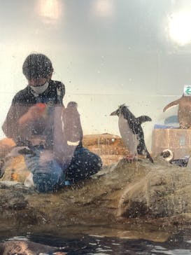 マクセル アクアパーク品川に投稿された画像（2021/1/1）