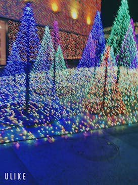 よみうりランド 遊園地に投稿された画像（2021/1/1）