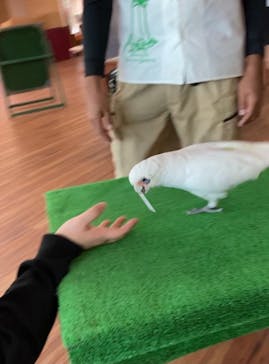 美らヤシパークオキナワ・東南植物楽園に投稿された画像（2021/1/1）