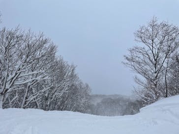 スプリングバレー仙台泉スキー場に投稿された画像（2021/1/1）