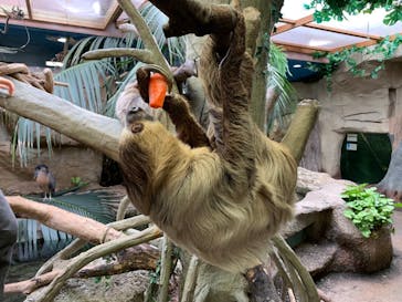 那須どうぶつ王国に投稿された画像（2021/1/1）