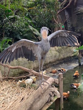 那須どうぶつ王国に投稿された画像（2021/1/1）