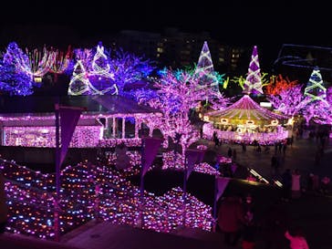 よみうりランド 遊園地に投稿された画像（2021/1/1）