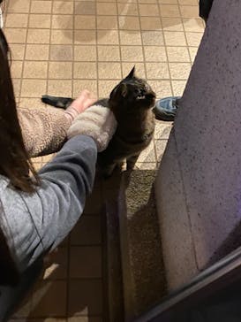 江の島シーキャンドルに投稿された画像（2021/1/1）