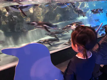 すみだ水族館に投稿された画像（2021/1/1）