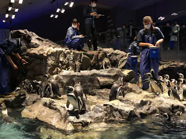 すみだ水族館に投稿された画像（2021/1/1）