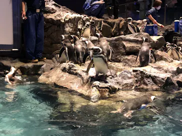 すみだ水族館に投稿された画像（2021/1/1）