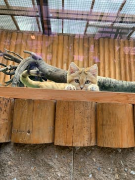 神戸どうぶつ王国に投稿された画像（2021/1/1）