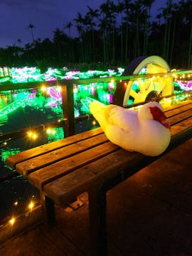 美らヤシパークオキナワ・東南植物楽園に投稿された画像（2021/1/1）