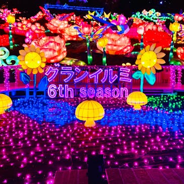 伊豆ぐらんぱる公園に投稿された画像（2021/1/2）