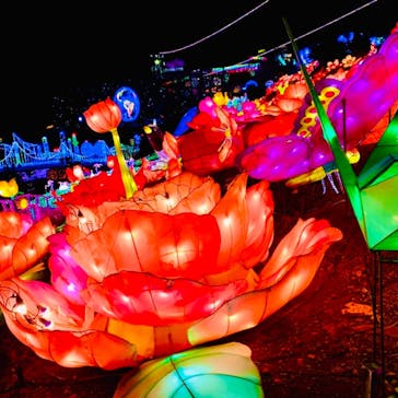 伊豆ぐらんぱる公園に投稿された画像（2021/1/2）