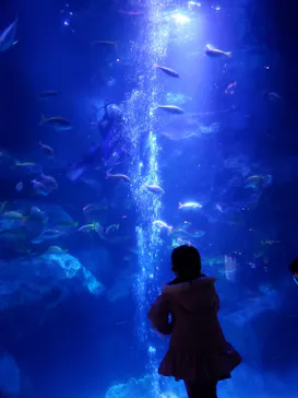 すみだ水族館に投稿された画像（2021/1/2）