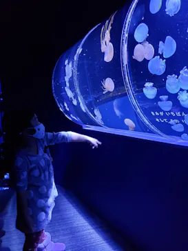 すみだ水族館に投稿された画像（2021/1/2）