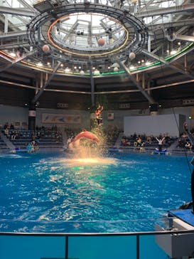 マクセル アクアパーク品川に投稿された画像（2021/1/2）